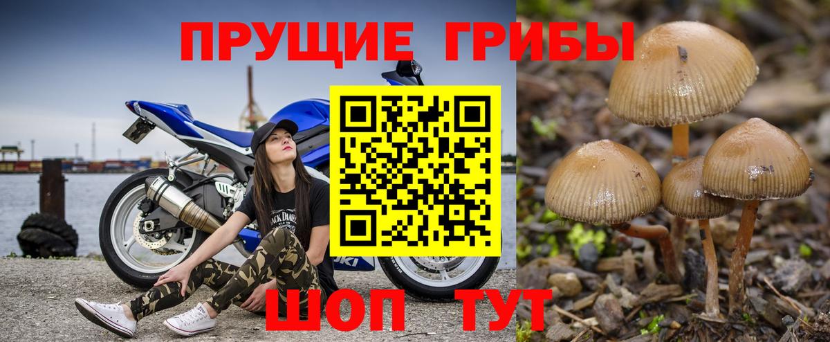 Галлюциногенные грибы мицелий  Вход с VPN  Псилоцибиновые грибы ЛСД  Барнаул 